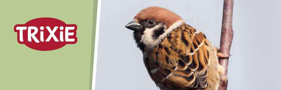 Magnet skilt t. Tego reol vildfugl