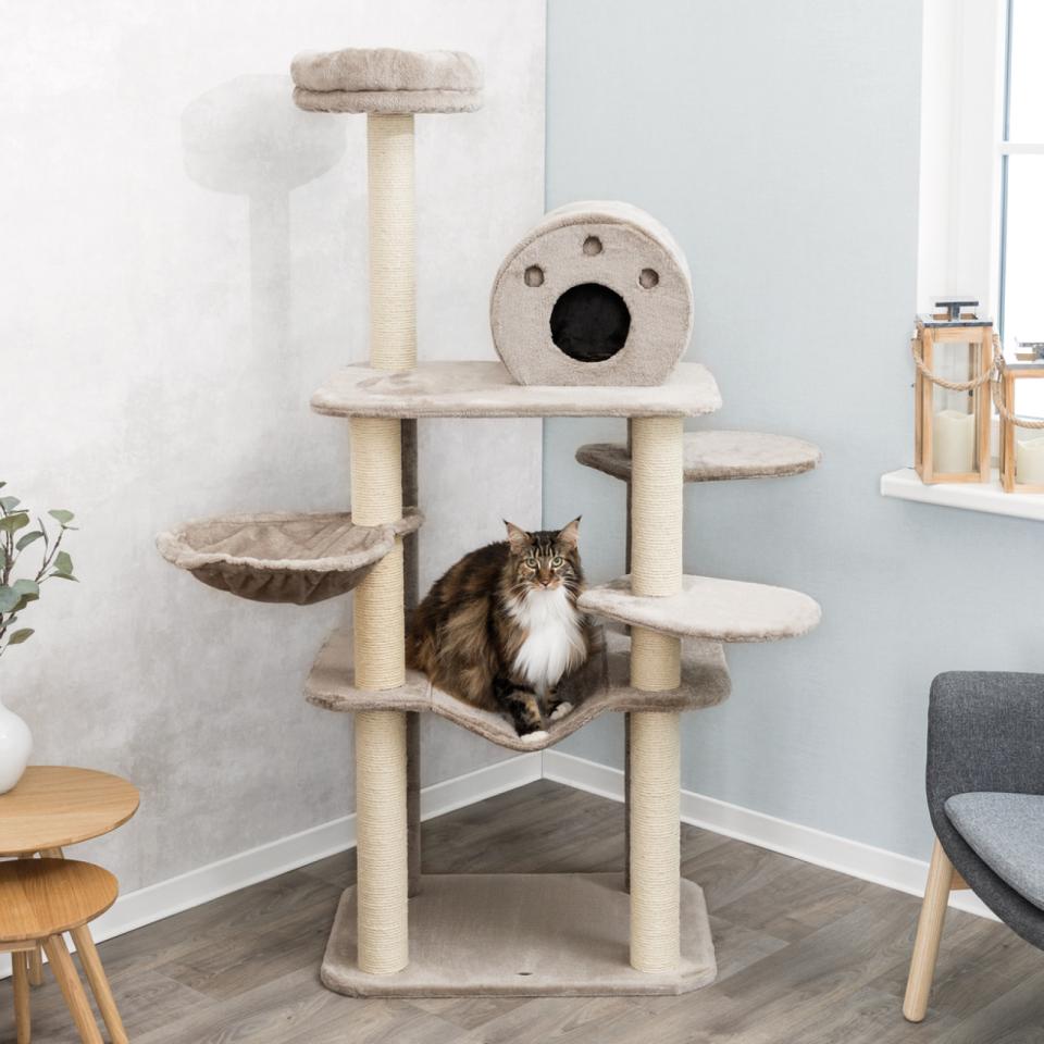 Trixie Fabiola klorestativ