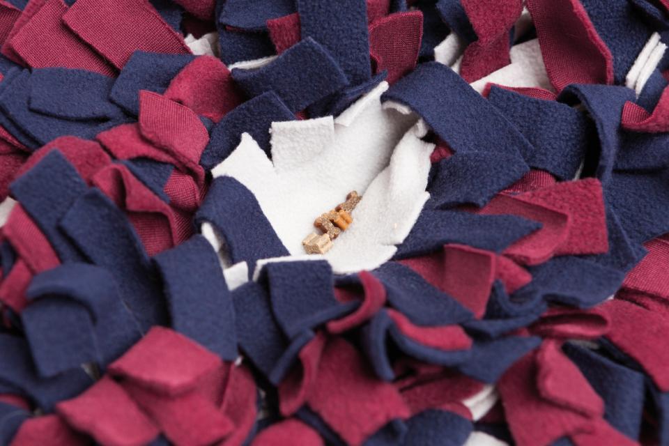 Snusetæppe strategispil