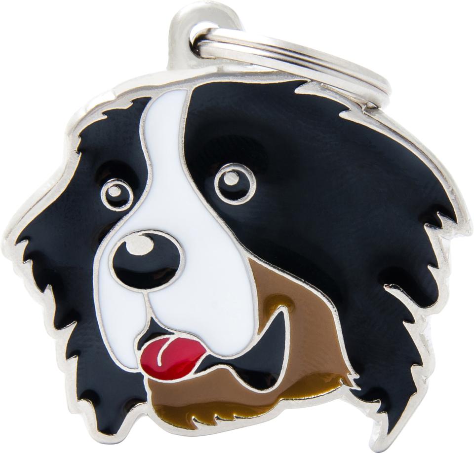 MyFamily Friends, Berner Sennenhund