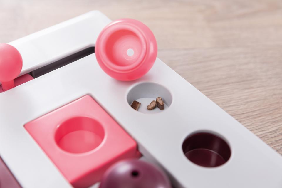 Cat Activity Brain Mover