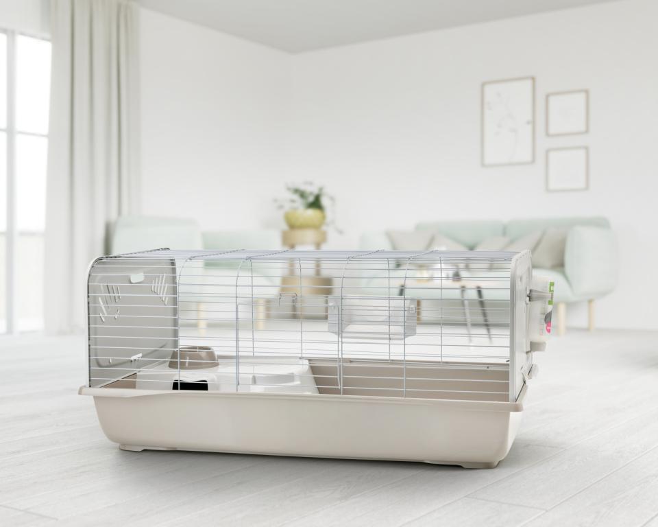 Caesar 4 de luxe Knock Down-bur