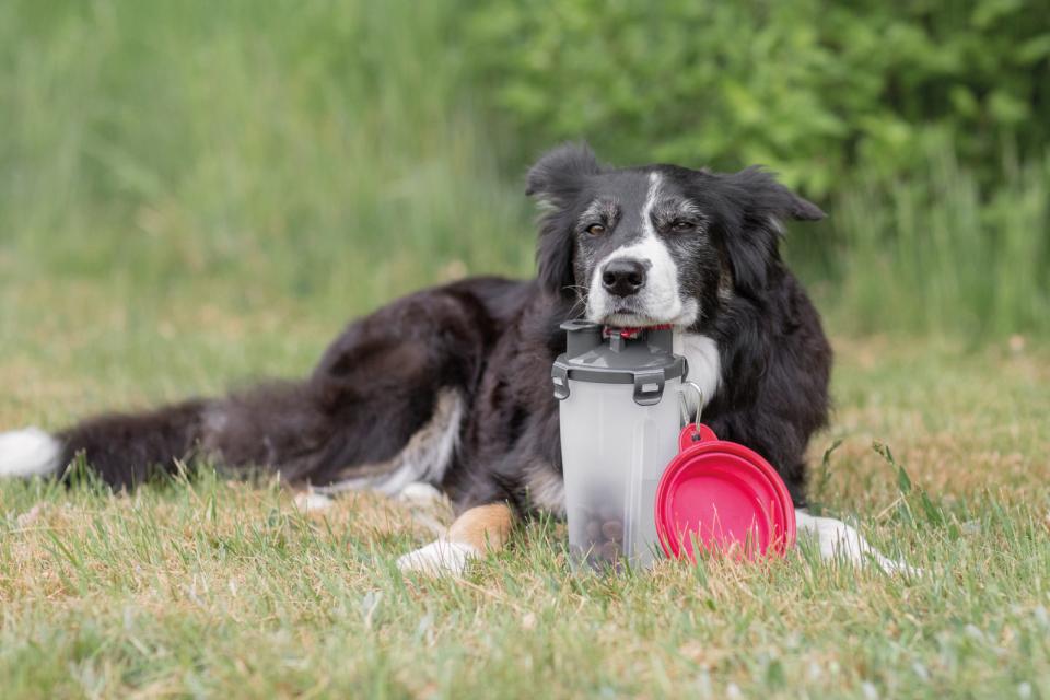 Trixie Foder- og vandbeholder