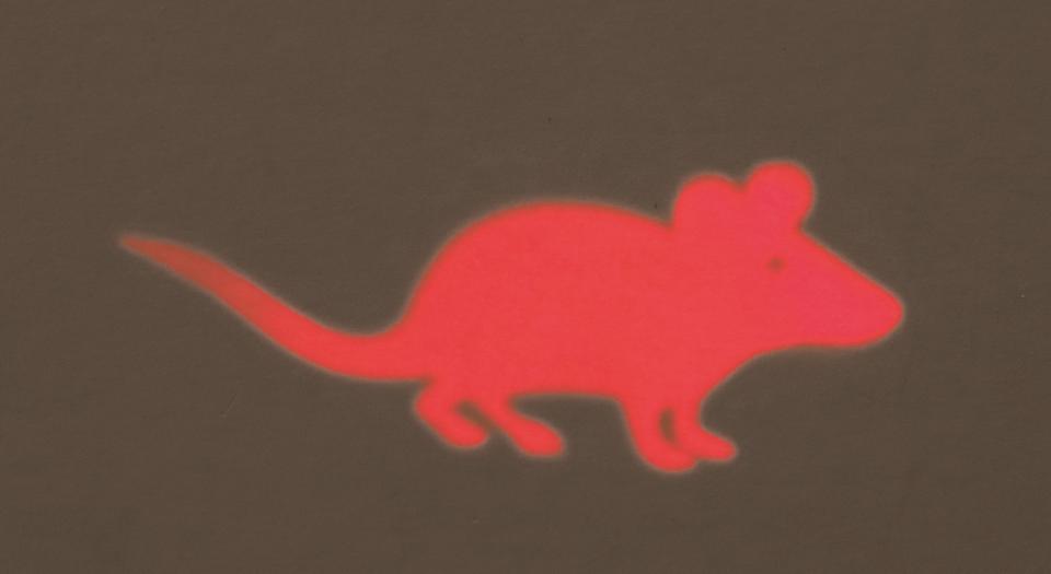 LED Pointer Catch the Light, Mouse