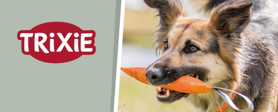 Magnet skilt t. Tego reol hundetræning