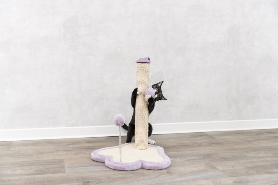 Junior pote kradsebræt m. stolpe