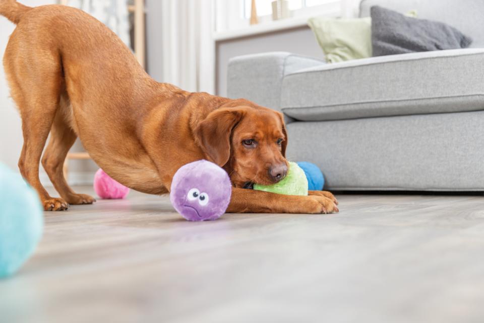 Trixie Be ECO bold i plys