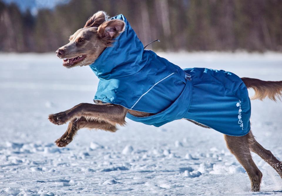 Hurtta Extreme Warmer III ECO hundefrakke
