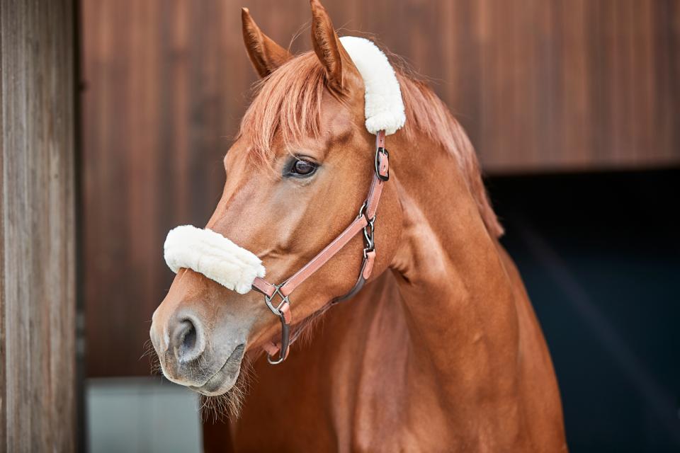 CATAGO Halfter m. im. Lammfell