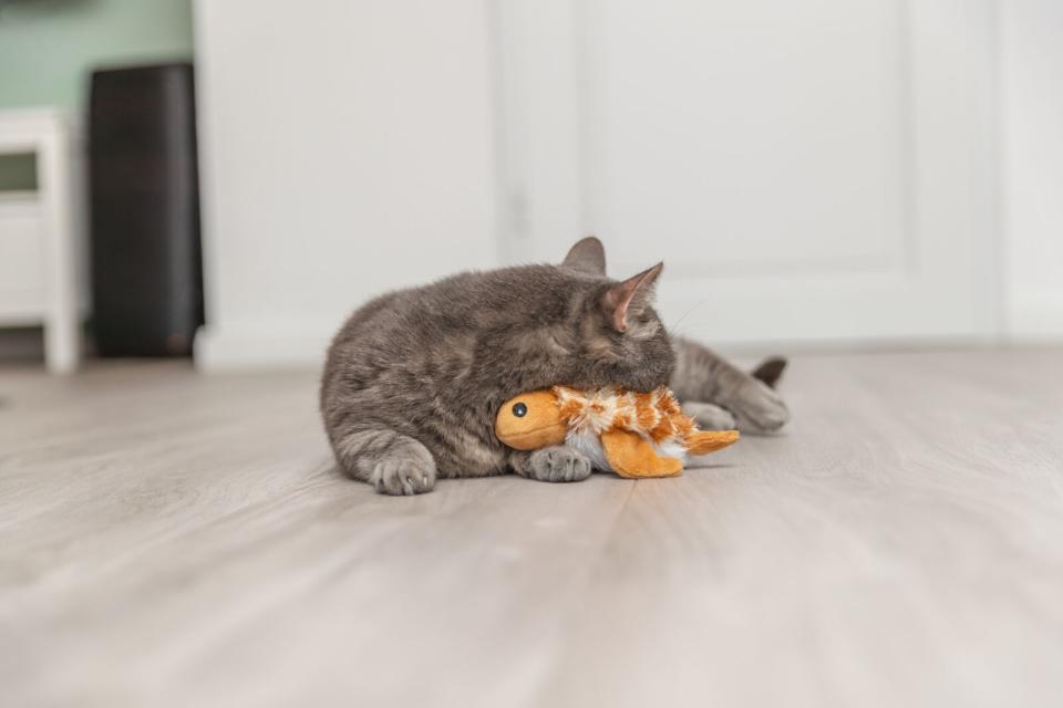 Trixie Wriggly skildpaddelegetøj til katte