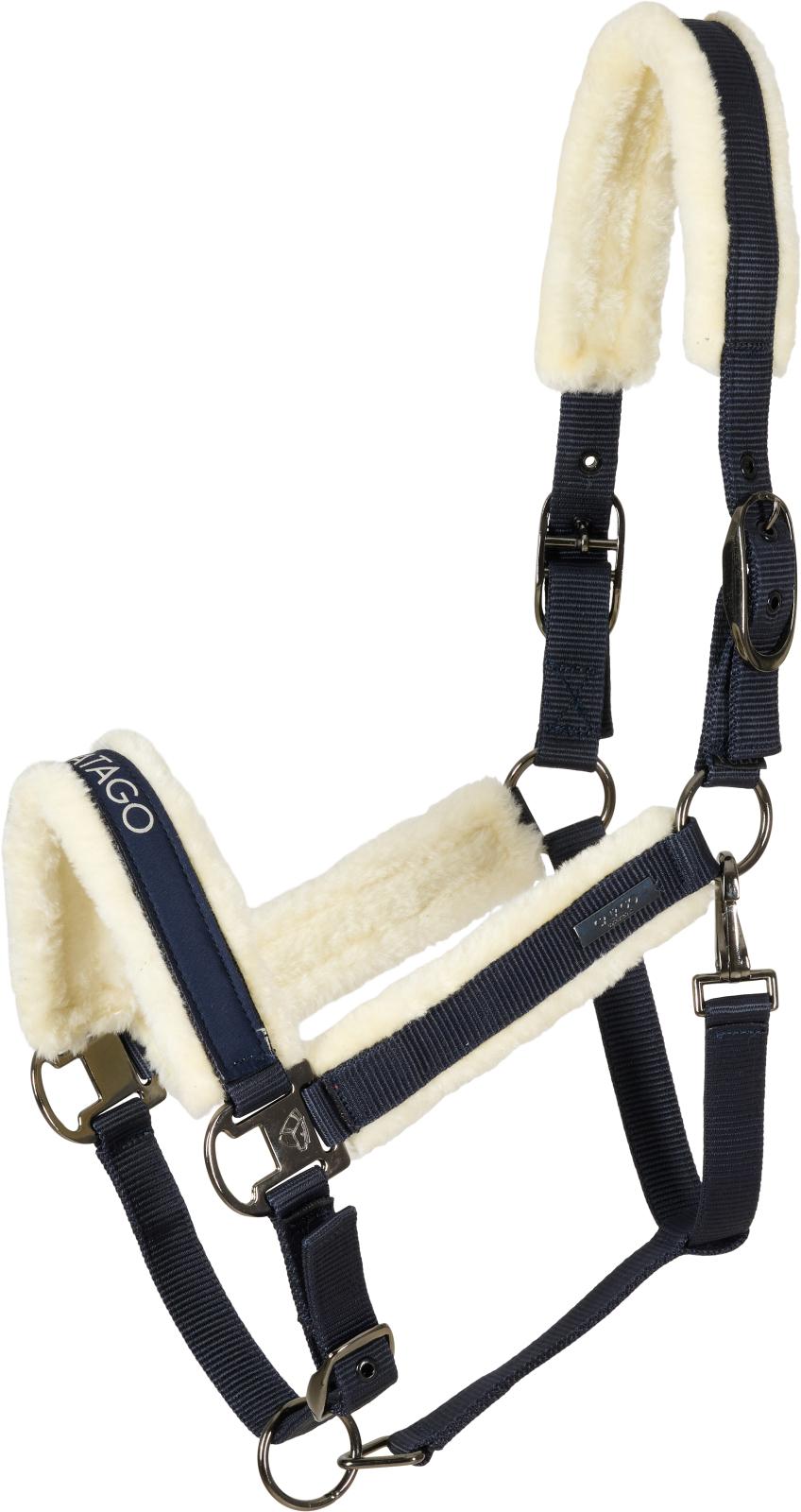 Catago Trace Halfter