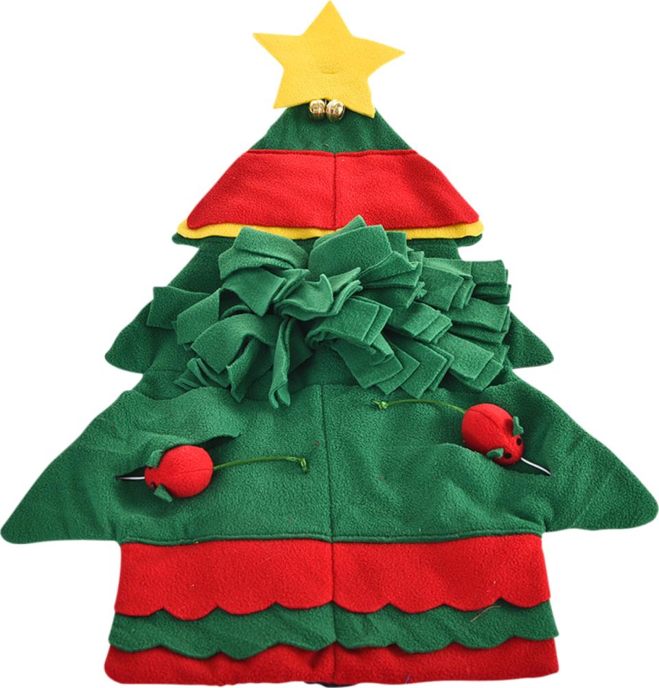 Companion X'mas cat sniffing carpet