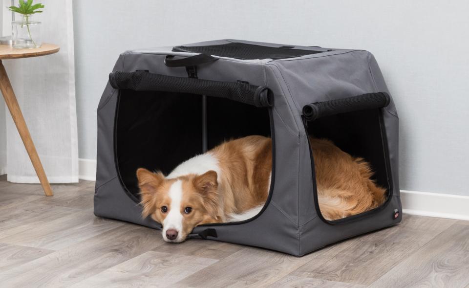 Easy Soft transport kennel