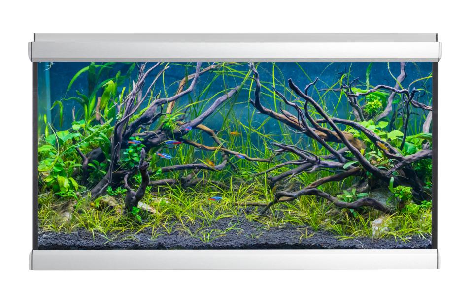 AkvaStabil MOVE Aquarium - 275 Liter