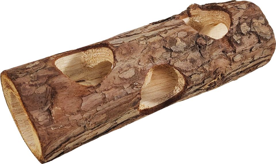 Companion rodent tunnel in wood