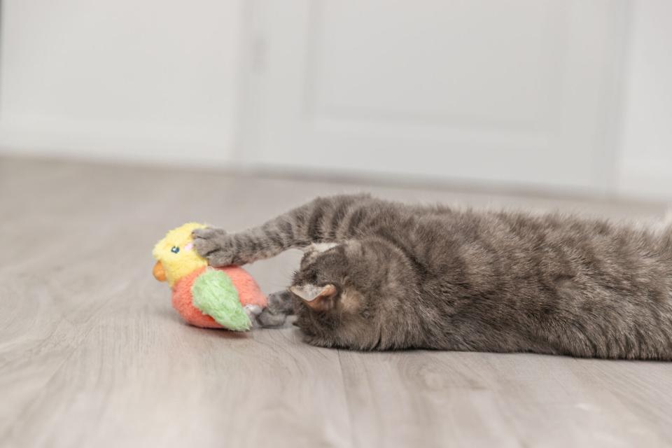 Trixie Wriggly fuglelegetøj til katte