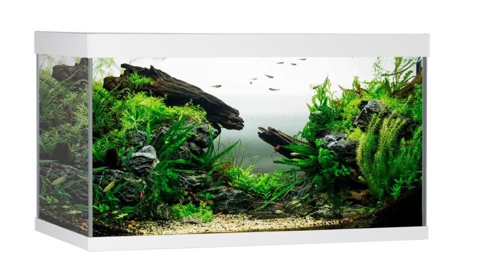 AkvaStabil ELEMENT Akvarium