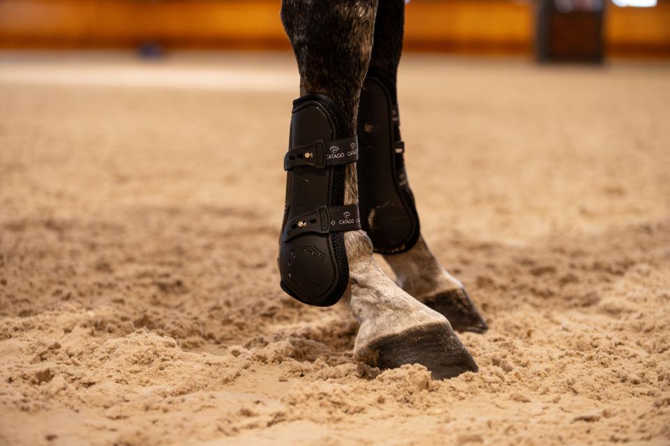 CATAGO FIR-Tech Performance JP Spring gamacher