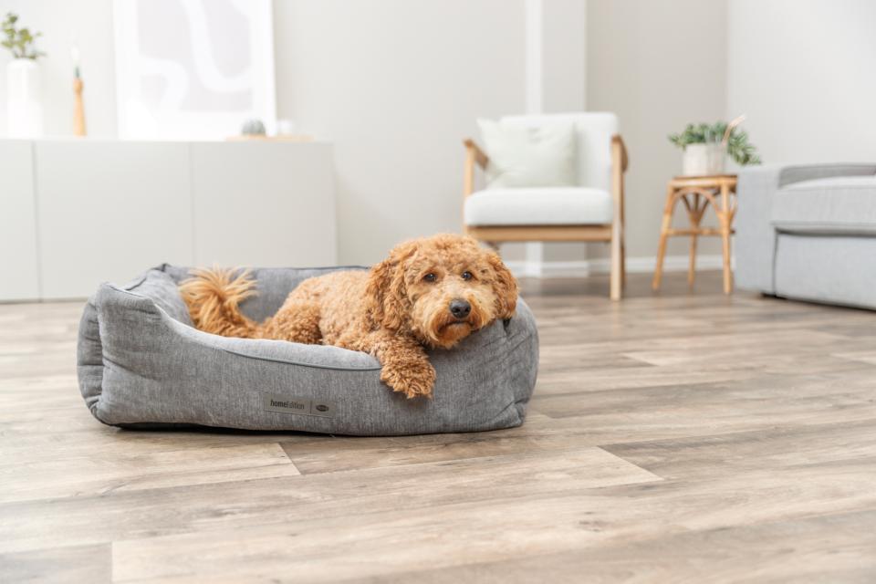 Trixie Vital Bed Lennox, Chenille, Square