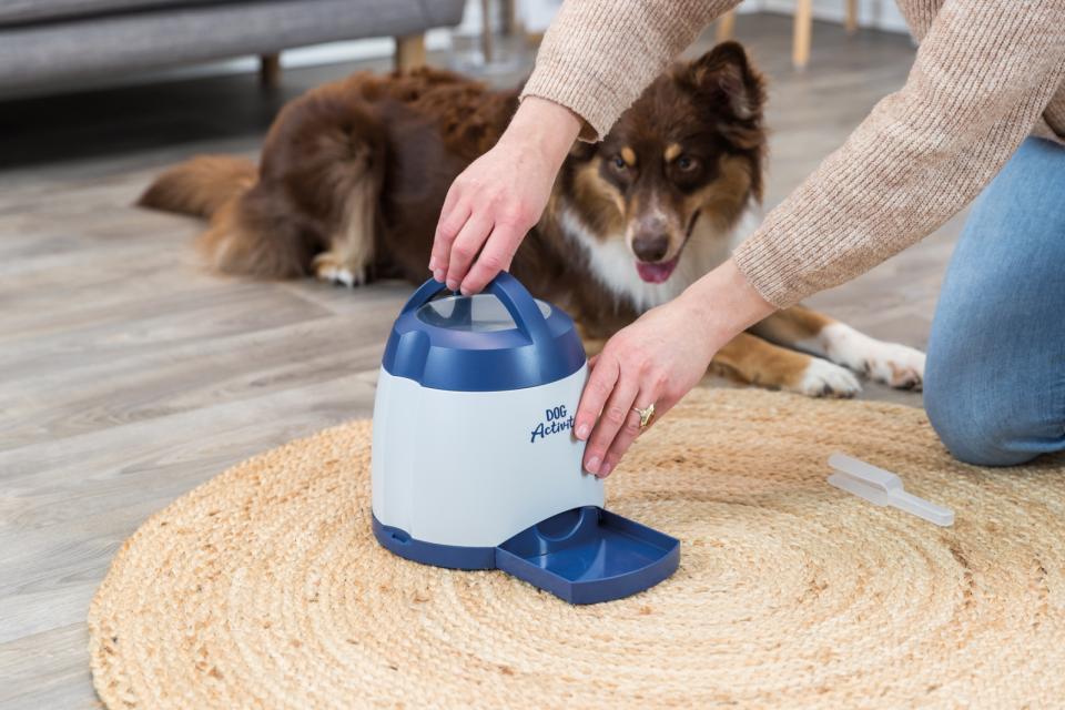 Memory Trainer Strategiespiel