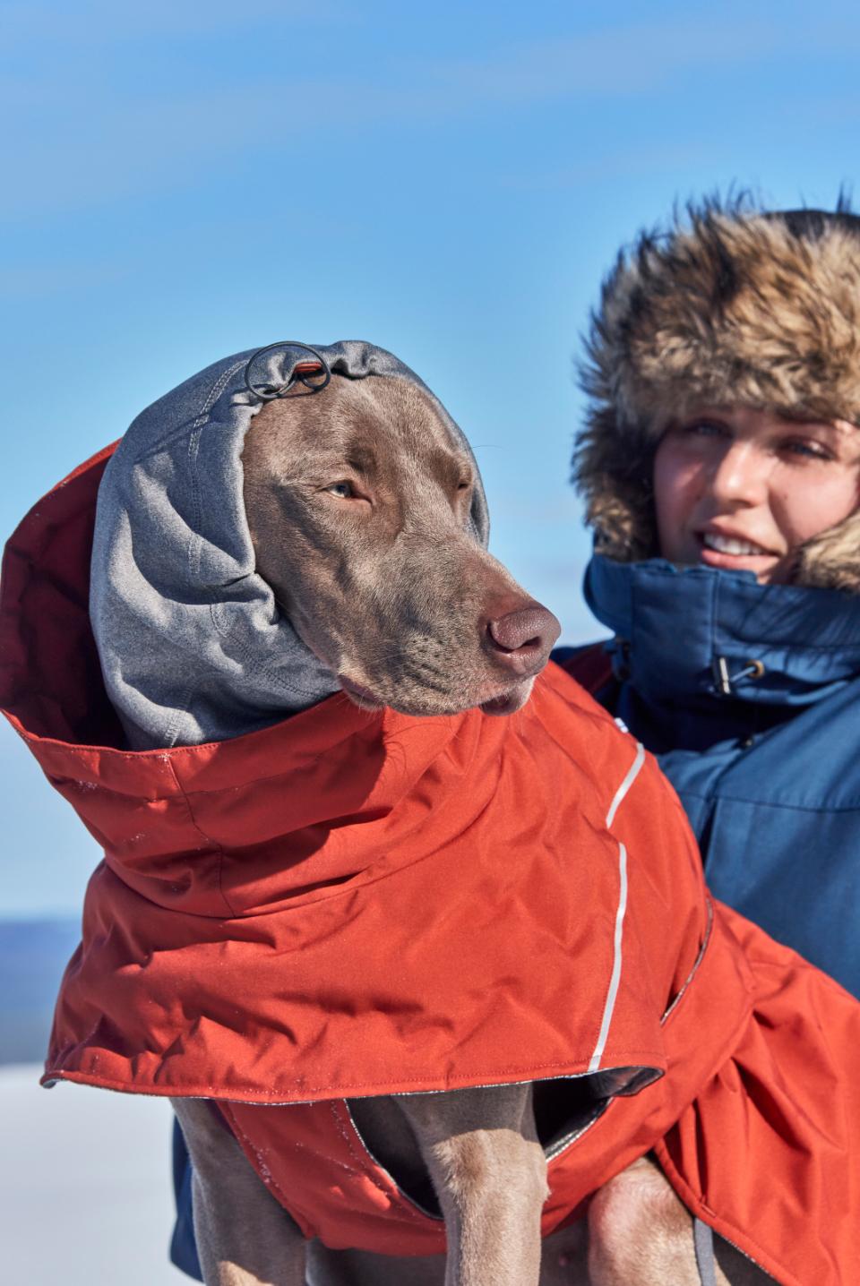 Hurtta Extreme Warmer III ECO hundefrakke