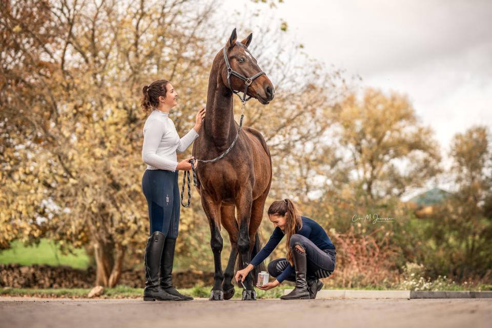 Bense & Eicke hovolja