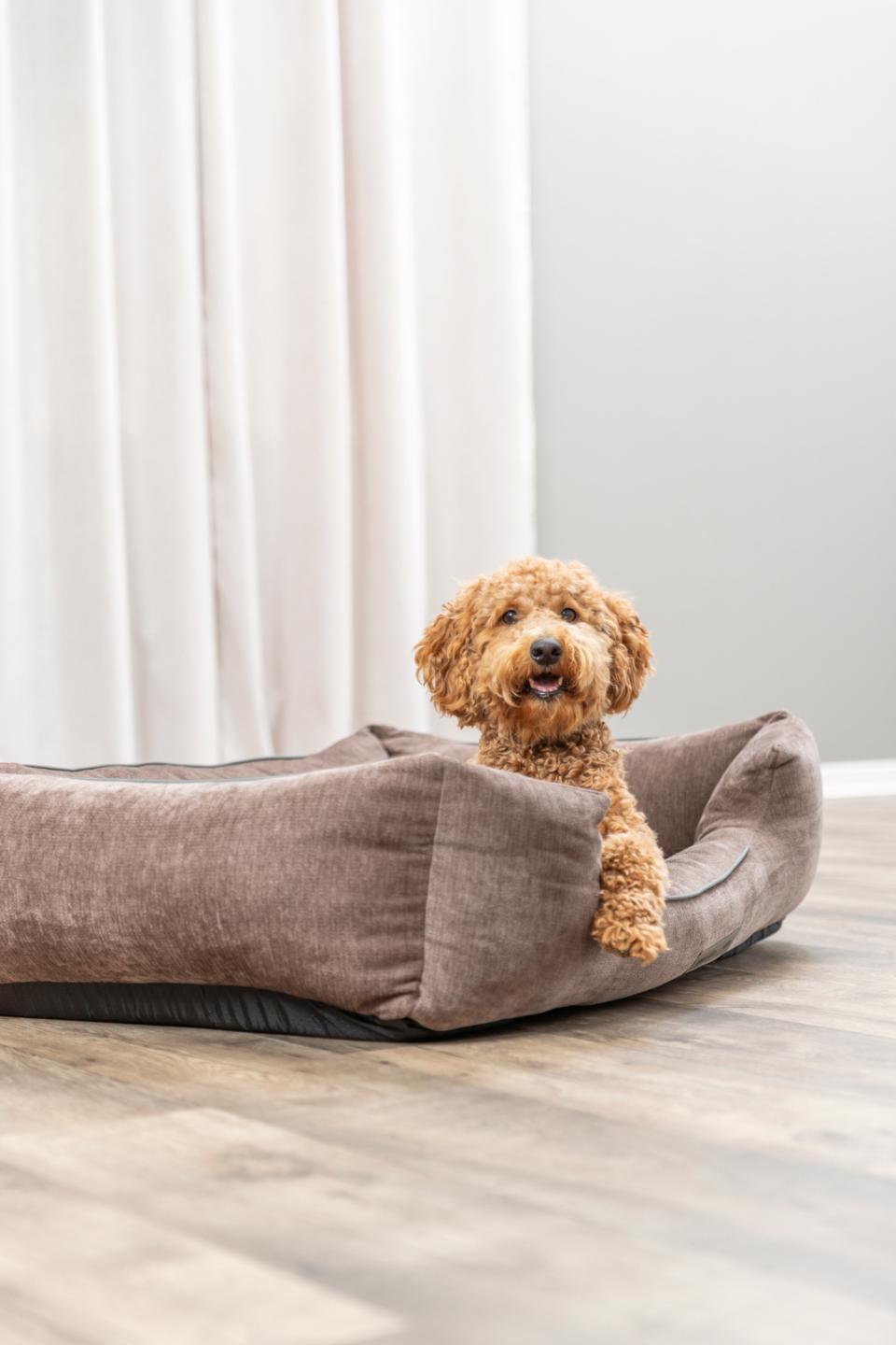 Trixie Vital Bed Lennox, Chenille, Square