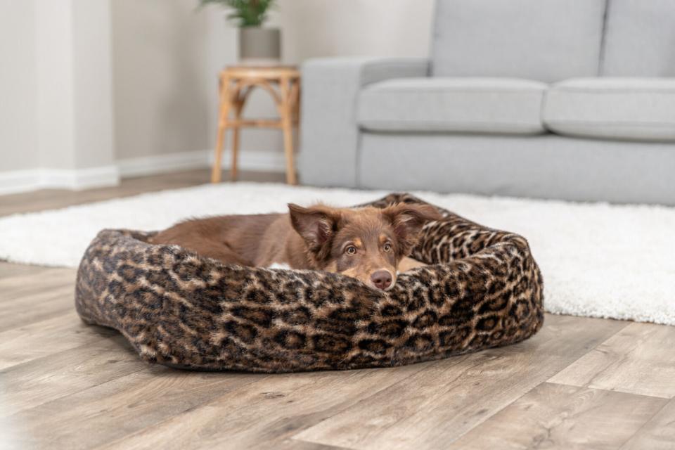 Trixie hundeseng Leo