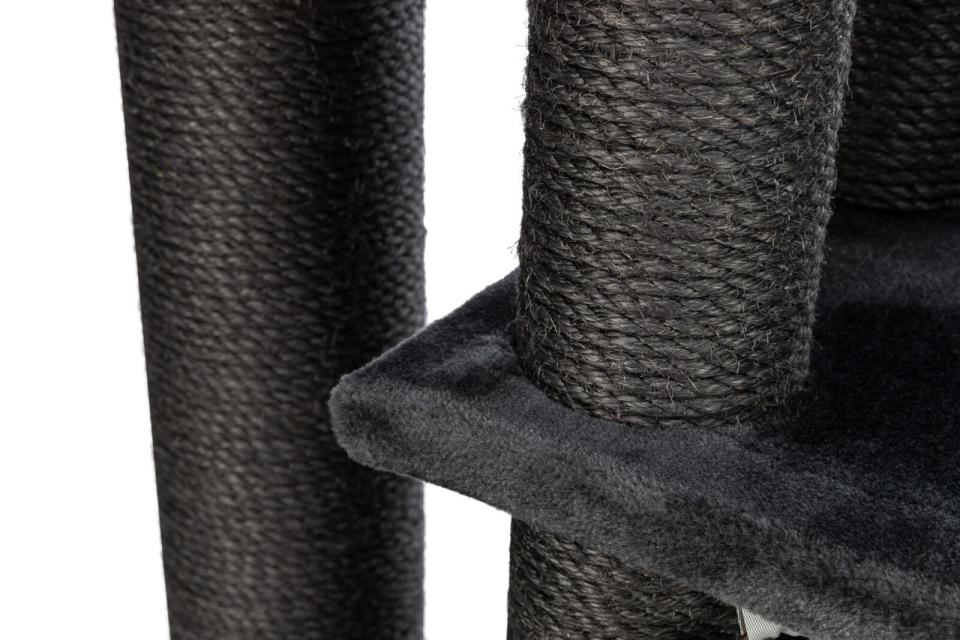 Trixie Antonio kattetræ