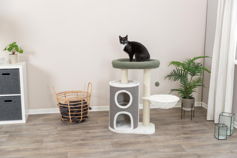 Trixie Dante kradsetræ