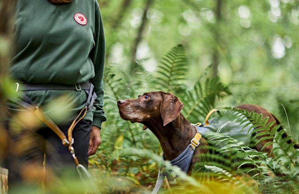 Hurtta Expedition ECO bælte