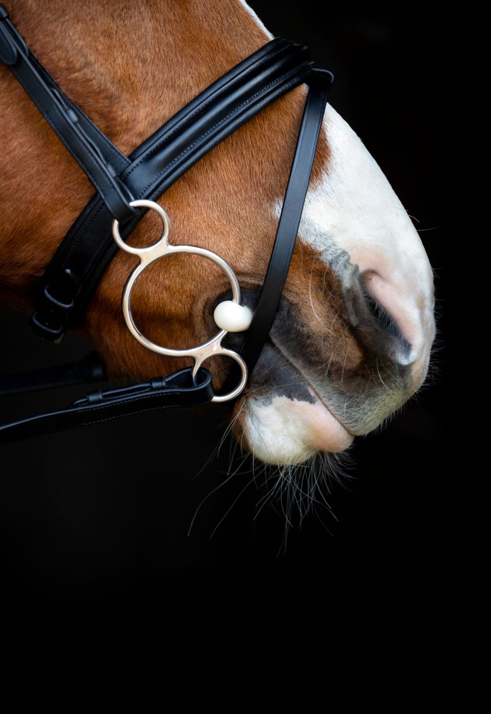 Happy Mouth bitt 3-delt, 2 ringer