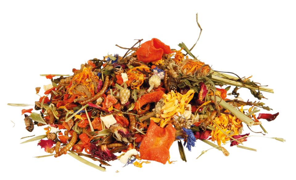 Trixie Naturlig foderblanding til skægagamer