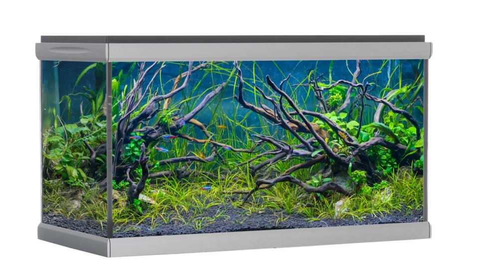 AkvaStabil MOVE akvarium - 275 liter