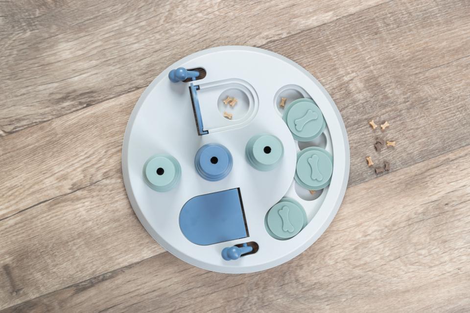 Dog Activity Flip Board