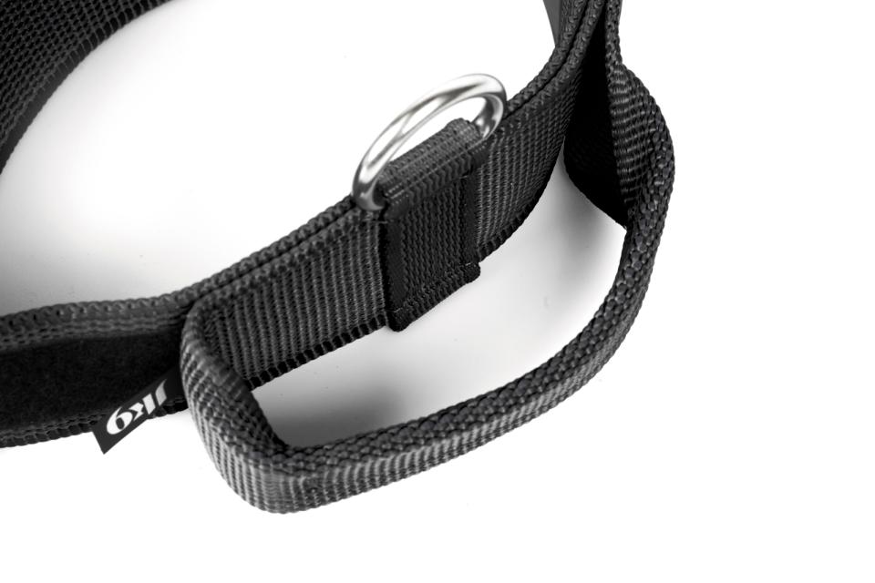 Julius-K9 C&G collars with handle