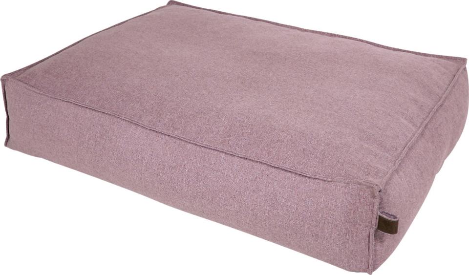 Fantail Stargaze Origin Madras