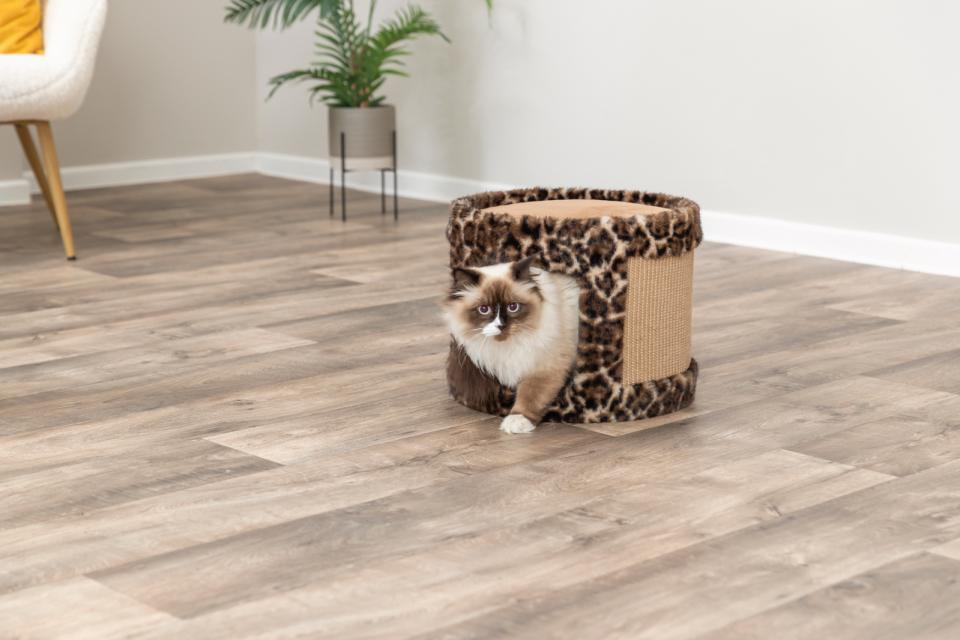 Trixie Klatrehule Leo