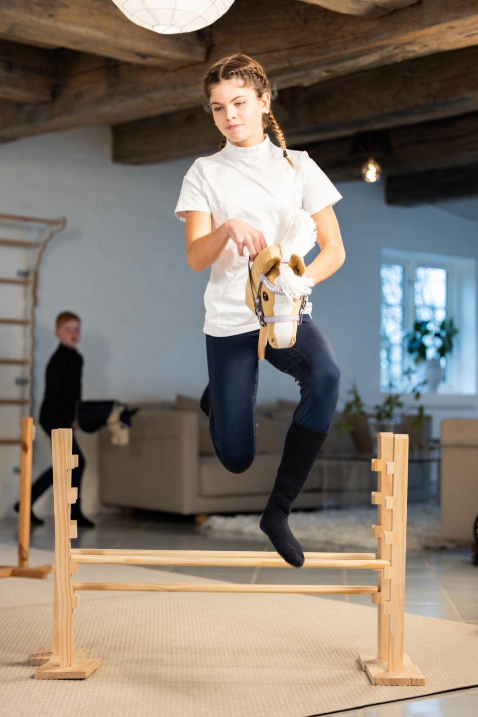 My Hobby Horse-trense, lavender glitter