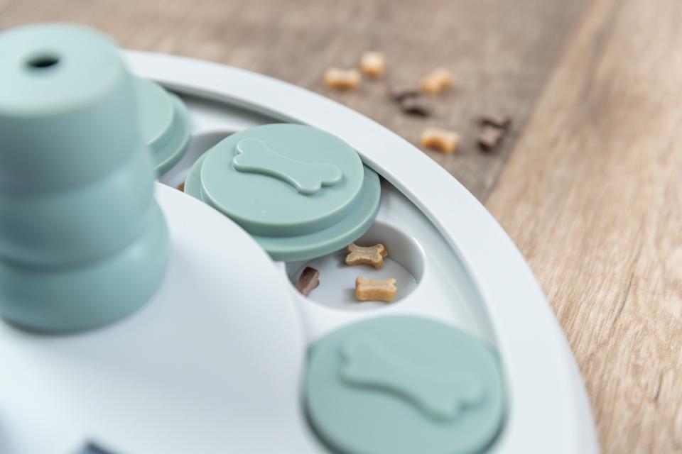 Dog Activity Flip Board