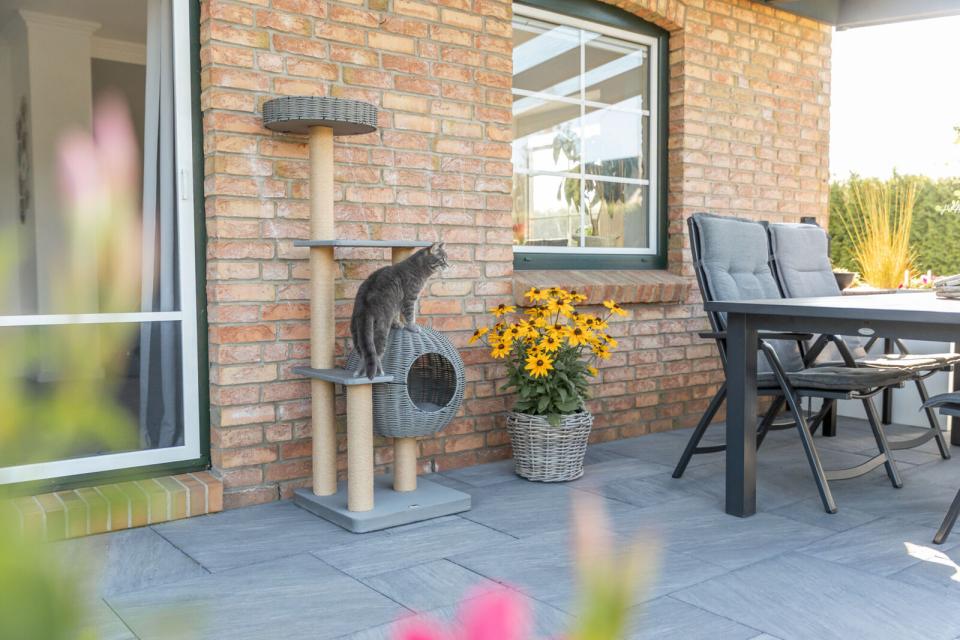 Trixie Amalia udendør kradsetræ med hule