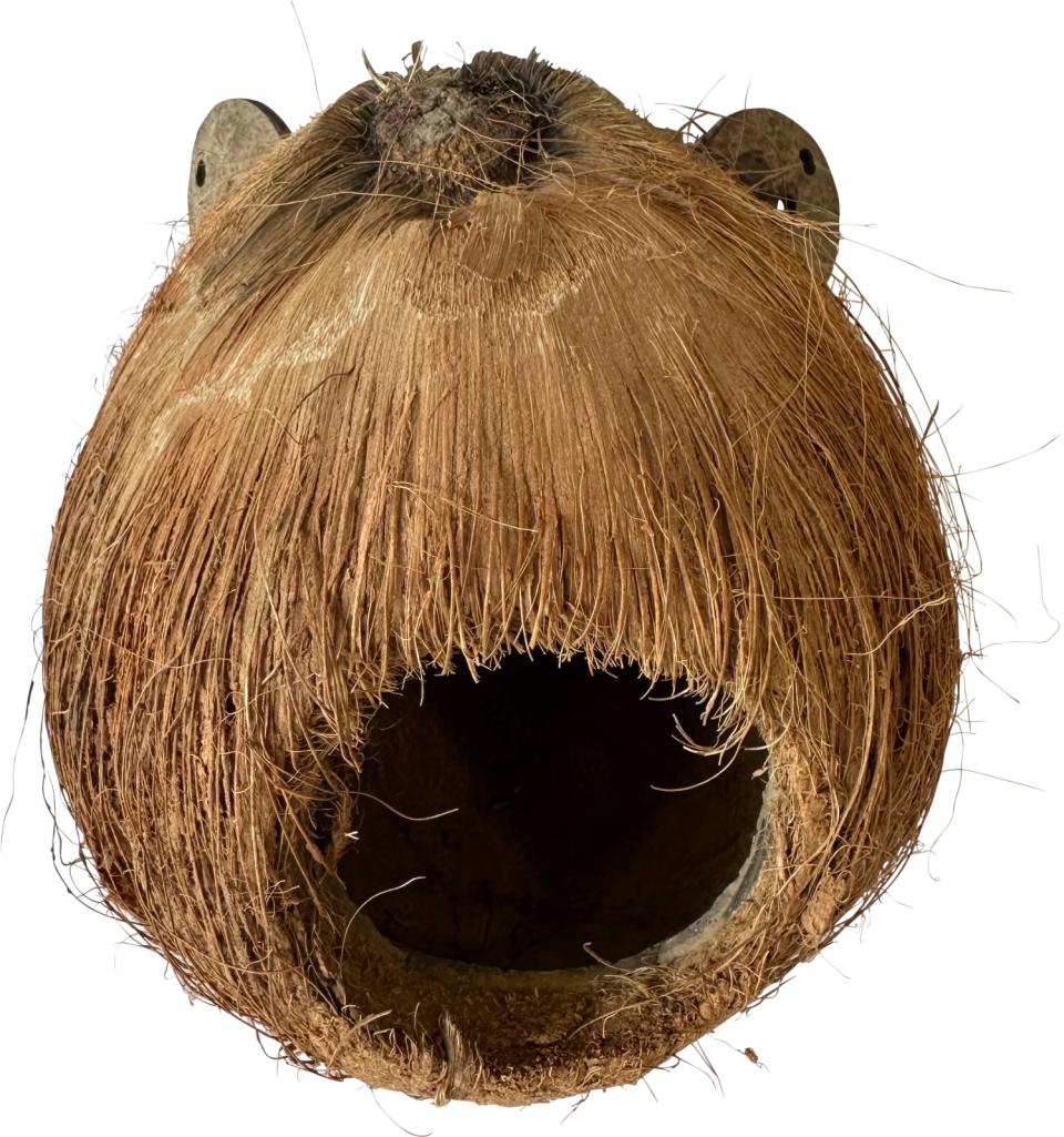 Coco Monkey 2, hul i baghoved