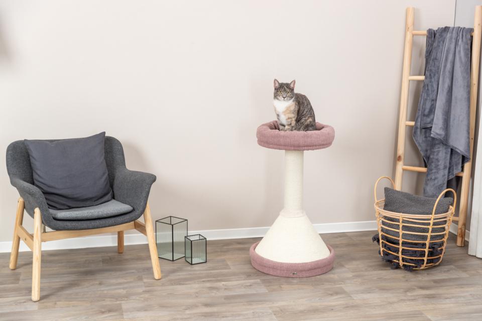 Trixie Viviana rundt kradsetræ