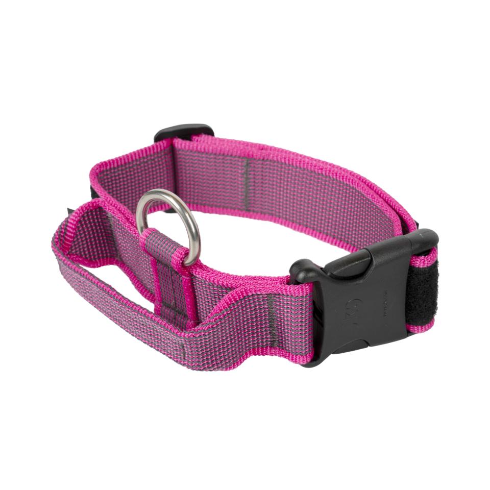 Julius-K9 C&G halsband med handtag