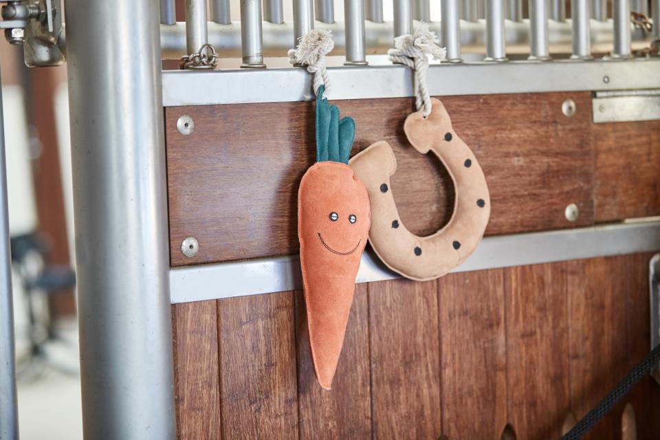 Horse Guard Carrot hästleksak
