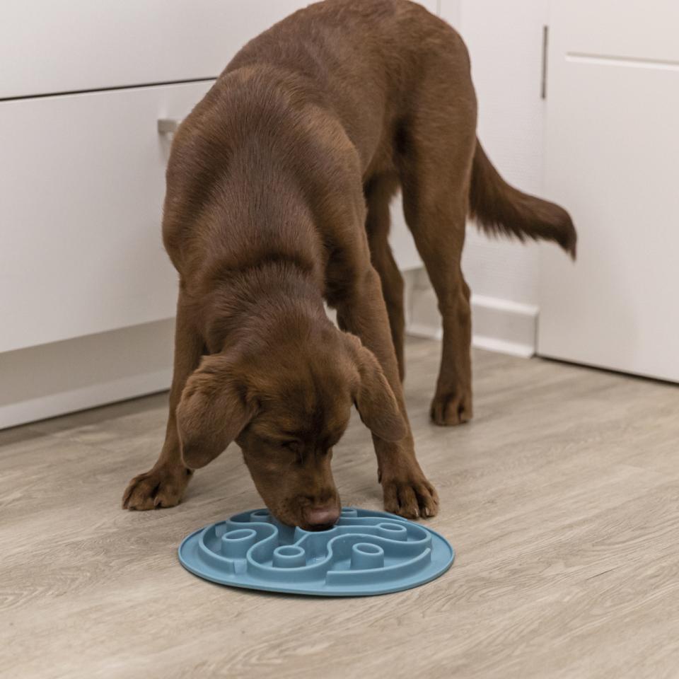 Slow Feeding mat, TPE