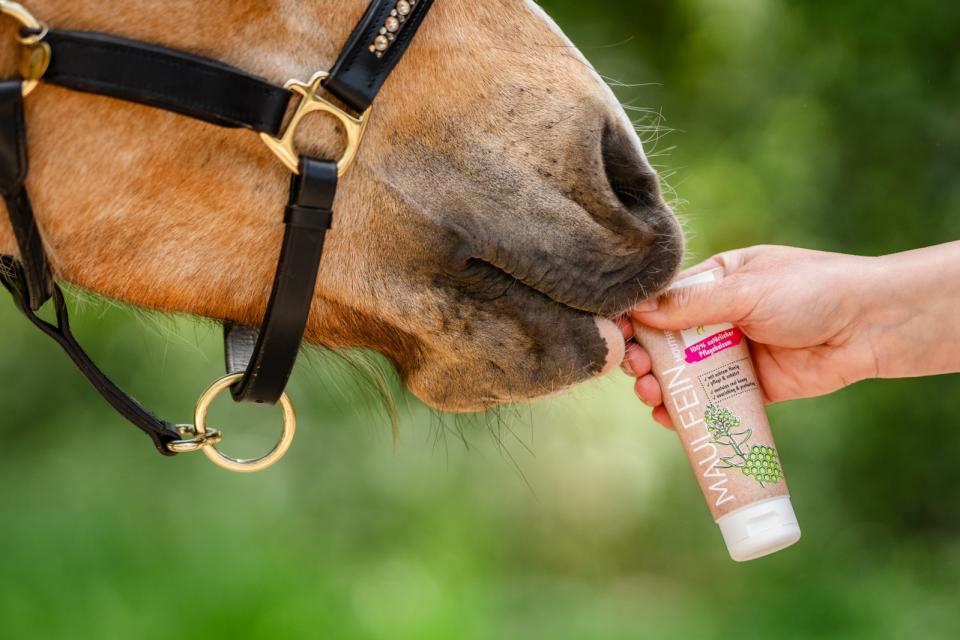 Bense & Eicke MouthFine, tube