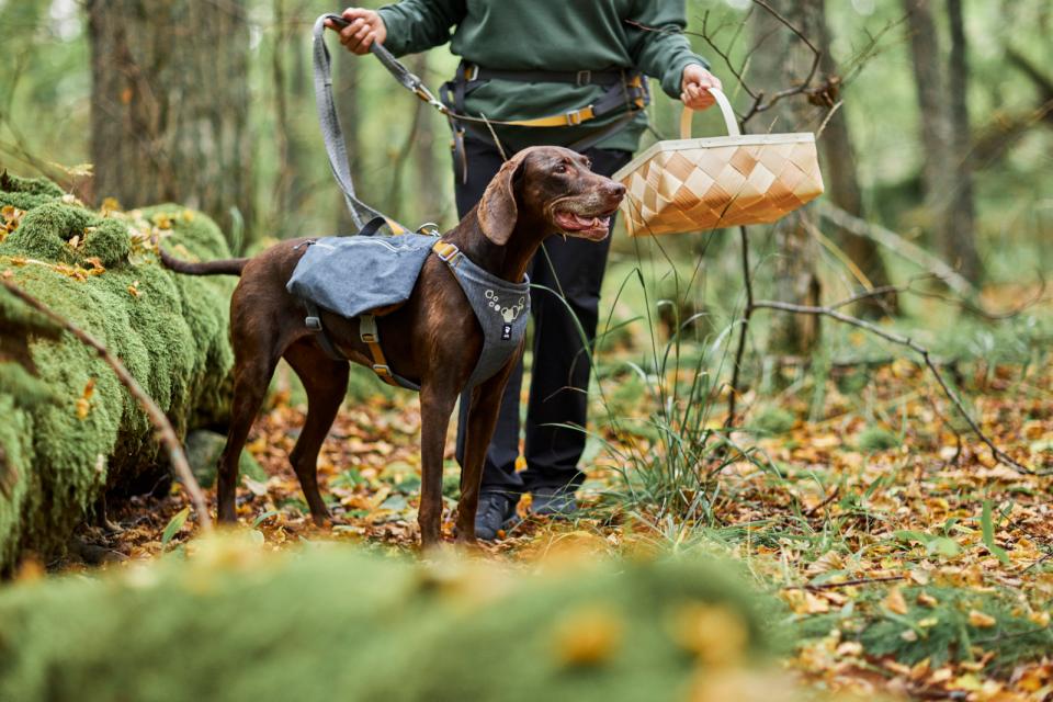 Hurtta Expedition Pack ECO hundesele