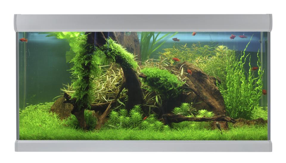 AkvaStabil FUSION akvarium