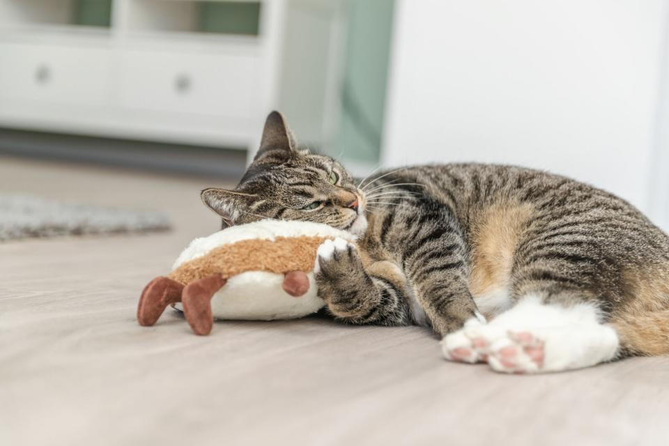 Trixie Toast XXL kattelegetøj
